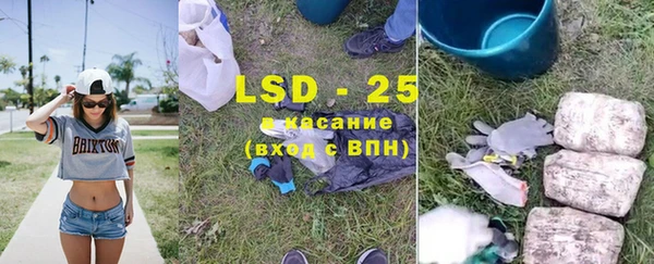 сатива Белокуриха